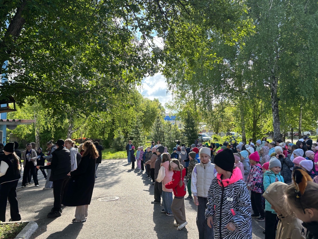#PROЛАГЕРЬ_гимназия55.