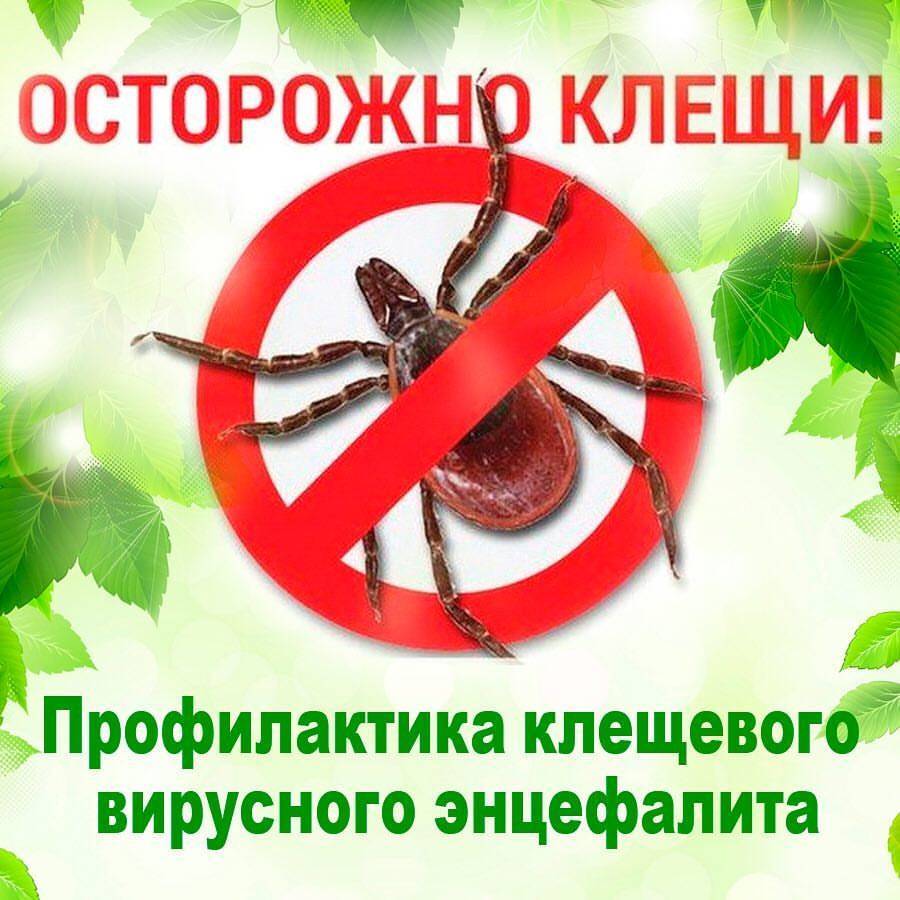 #PROБЕЗОПАСНОСТЬ_гимназия55.
