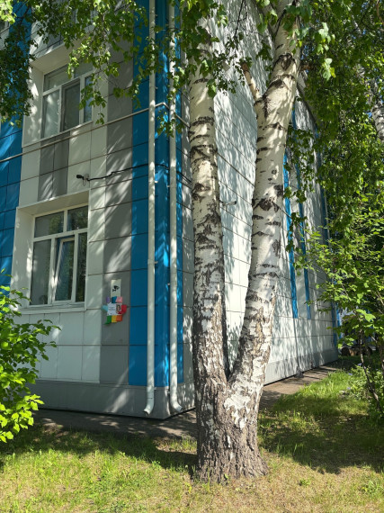 #PROЛАГЕРЬ_гимназия55.